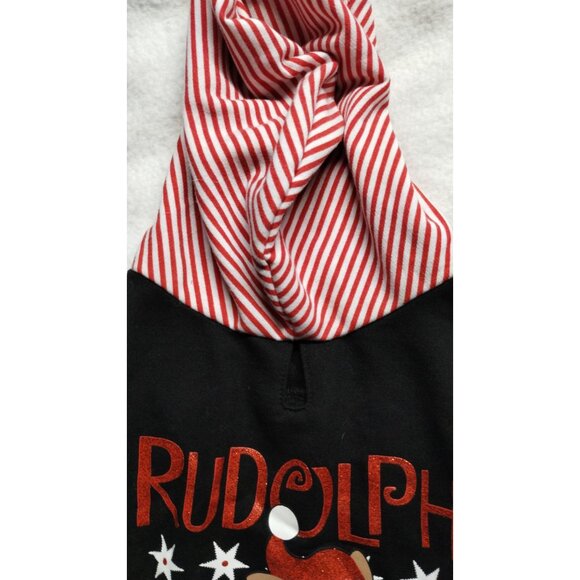 Rudolph The Red-Nosed Reindeer Dog Hoodie With Striped Hood Size L - Picture 4 of 8